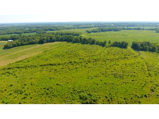 Property photo 17 - LAND AUCTION - 1,193+/- ACRES IN 14 TRACTS IN PIKE & GIBSON COUNTY, INDIANA